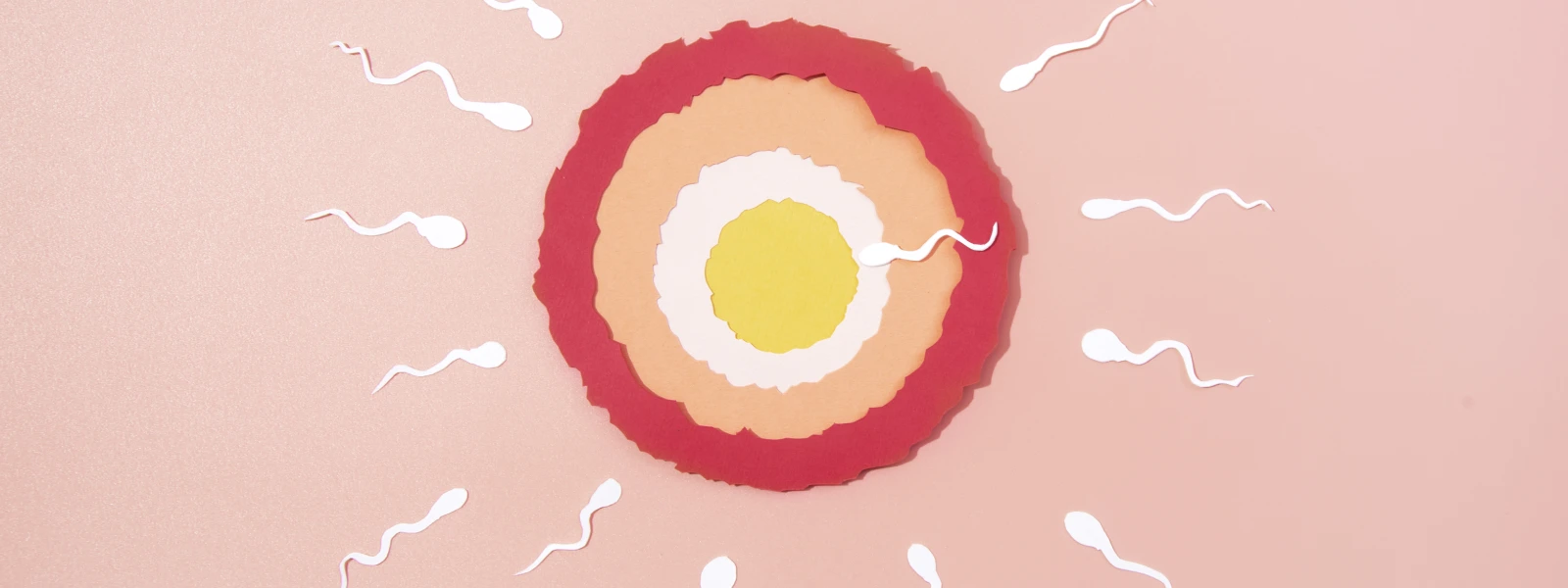 Düşük Sperm Sayısı Belirtileri Nelerdir?