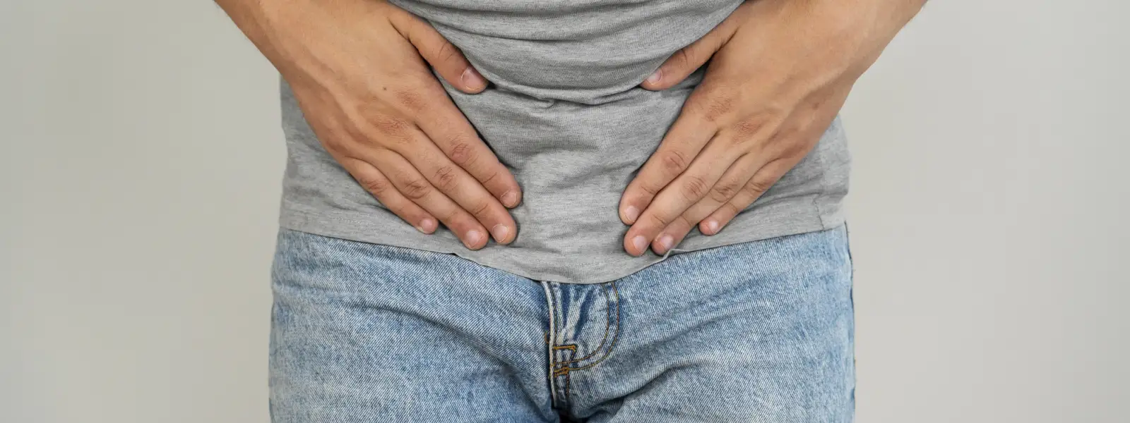 erkek üreme sistemi