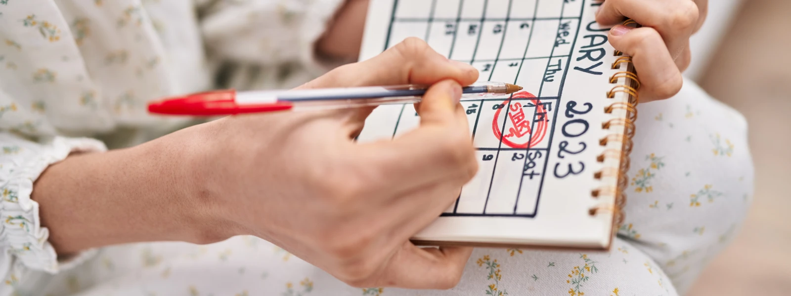 Gebelik Hesaplama Cetveli