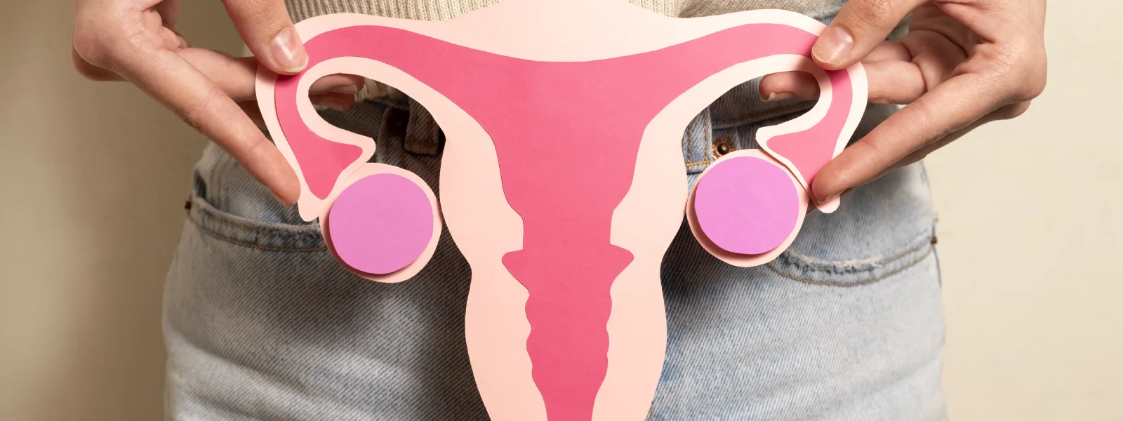 kadın üreme sistemi anatomisi