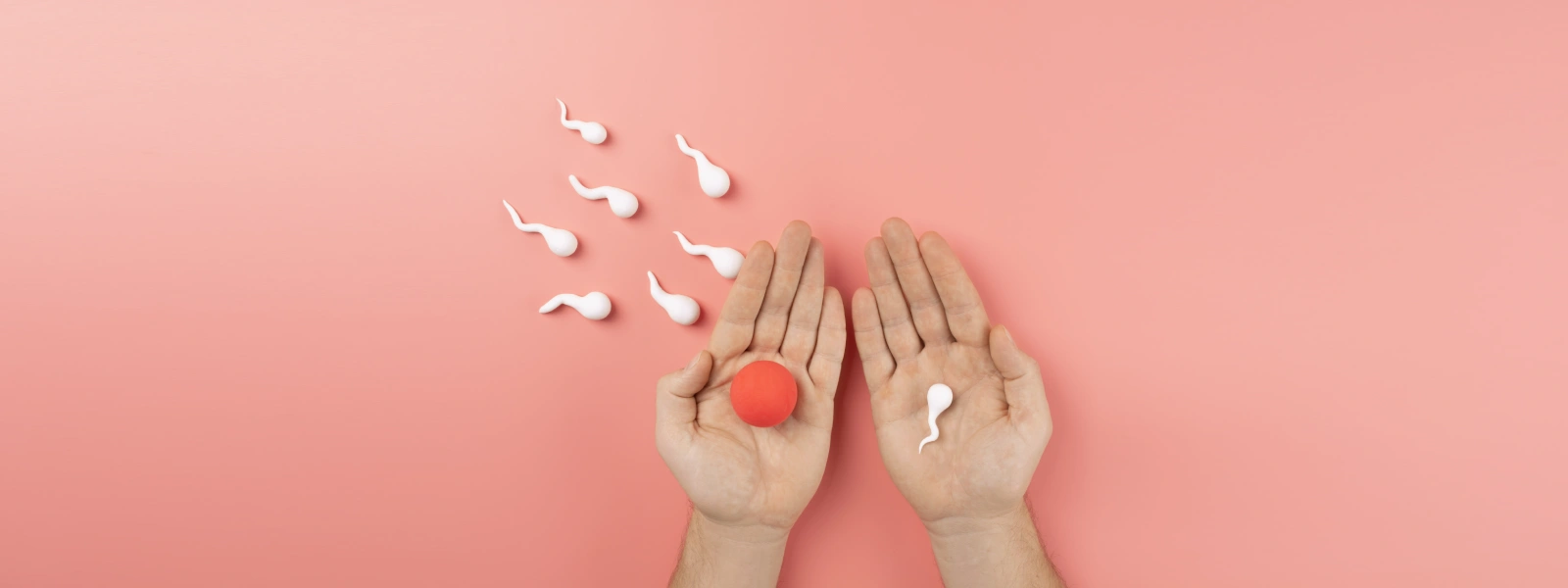 sperm sayısı kaç olmalı